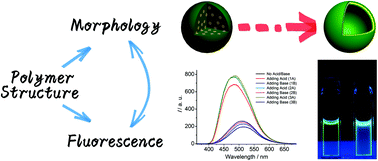 Graphical abstract: Acid–base-controlled and dibenzylammonium-assisted aggregation induced emission enhancement of poly(tetraphenylethene) with an impressive blue shift