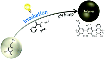 Graphical abstract: Towards mussel-like on-demand coatings: light-triggered polymerization of dopamine through a photoinduced pH jump