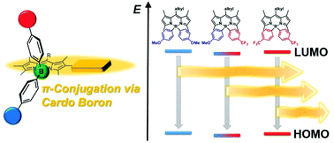 Graphical abstract: Preservation of main-chain conjugation through BODIPY-containing alternating polymers from electronic interactions with side-chain substituents by cardo boron structures