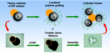Graphical abstract: Versatile procedure for site-specific grafting of polymer brushes on patchy particles via atom transfer radical polymerization (ATRP)