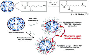 Graphical abstract: Enhanced cytocompatibility and functional group content of poly(l-lysine) dendrimers by grafting with poly(oxazolines)