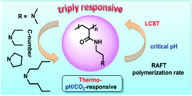 Graphical abstract: RAFT synthesis of triply responsive poly[N-[2-(dialkylamino)ethyl]acrylamide]s and their N-substitute determined response