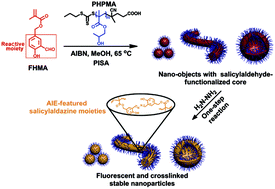 Graphical abstract: Salicylaldehyde-functionalized block copolymer nano-objects: one-pot synthesis via polymerization-induced self-assembly and their simultaneous cross-linking and fluorescence modification