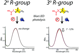Graphical abstract: Investigation into the photolytic stability of RAFT agents and the implications for photopolymerization reactions