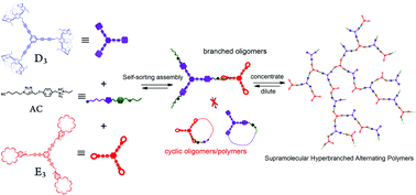 Graphical abstract: A triple-monomer methodology to construct controllable supramolecular hyperbranched alternating polymers
