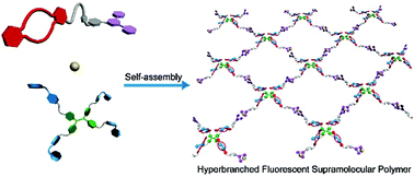 Graphical abstract: A hyperbranched fluorescent supramolecular polymer with aggregation induced emission (AIE) properties
