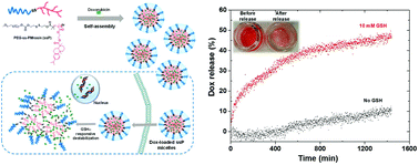 Graphical abstract: Rosin-based block copolymer intracellular delivery nanocarriers with reduction-responsive sheddable coronas for cancer therapy