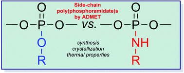 Graphical abstract: Side-chain poly(phosphoramidate)s via acyclic diene metathesis polycondensation