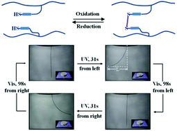 Graphical abstract: Facile preparation of recyclable photodeformable azobenzene polymer fibers with chemically crosslinked networks
