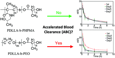 Graphical abstract: Poly(d,l-lactic acid)-block-poly(N-(2-hydroxypropyl)methacrylamide) nanoparticles for overcoming accelerated blood clearance and achieving efficient anti-tumor therapy