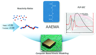 Graphical abstract: A complete kinetic study of a versatile functional monomer: acetoacetoxyethyl methacrylate (AAEMA)
