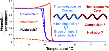 Graphical abstract: Probing the causes of thermal hysteresis using tunable Nagg micelles with linear and brush-like thermoresponsive coronas