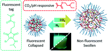 Graphical abstract: CO2/pH-responsive particles with built-in fluorescence read-out