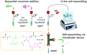 Graphical abstract: One-pot RAFT and fast polymersomes assembly: a ‘beeline’ from monomers to drug-loaded nanovectors