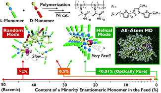 Graphical abstract: Impact of a minority enantiomer on the polymerization of alanine-based isocyanides with an oligothiophene pendant