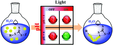 Graphical abstract: A logic gate for external regulation of photopolymerization