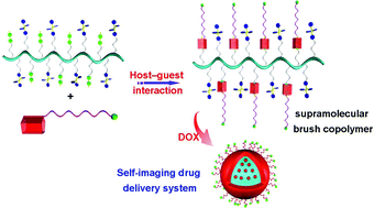 Graphical abstract: Pillar[5]arene-based amphiphilic supramolecular brush copolymers: fabrication, controllable self-assembly and application in self-imaging targeted drug delivery