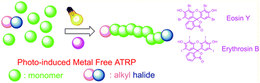 Graphical abstract: LED and visible light-induced metal free ATRP using reducible dyes in the presence of amines