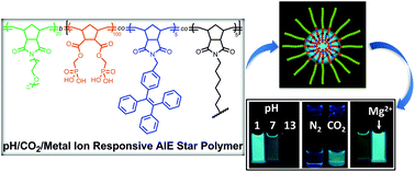 Graphical abstract: An aggregation-induced emission star polymer with pH and metal ion responsive fluorescence