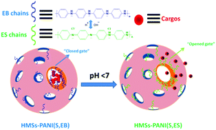 Graphical abstract: Acid and base dual-controlled cargo molecule release from polyaniline gated-hollow mesoporous silica nanoparticles