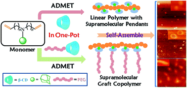 Graphical abstract: A straightforward approach for one-pot synthesis of noncovalently connected graft copolymers with unique self-assembly nanostructures