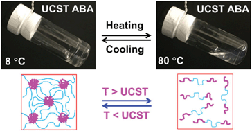 Graphical abstract: Thermoreversible physically crosslinked hydrogels from UCST-type thermosensitive ABA linear triblock copolymers