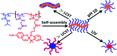 Graphical abstract: Synthesis and micellization of a multi-stimuli responsive block copolymer based on spiropyran