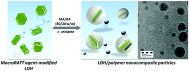 Graphical abstract: Nanocomposite latexes containing layered double hydroxides via RAFT-assisted encapsulating emulsion polymerization