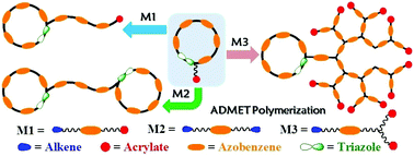 Graphical abstract: Macrocycle-based topological azo-polymers: facile synthesis and unusual photoresponsive properties