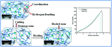 Graphical abstract: A facile strategy to fabricate highly-stretchable self-healing poly(vinyl alcohol) hybrid hydrogels based on metal–ligand interactions and hydrogen bonding