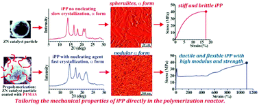 Graphical abstract: Tailoring the properties of polypropylene in the polymerization reactor using polymeric nucleating agents as prepolymers on the Ziegler–Natta catalyst granule