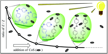 Graphical abstract: A photo-responsive polymeric azopyridine ligand with metal-complexation sensitivity: application to coordination equilibrium studies on the polymer complexes of a cobalt(ii) Schiff base