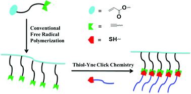 Graphical abstract: Rational design of soluble and clickable polymers prepared by conventional free radical polymerization of acetylene-functionalized acrylate