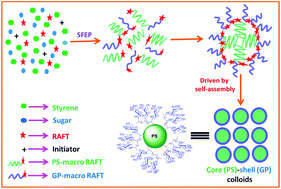 Graphical abstract: RAFT mediated one-pot synthesis of glycopolymer particles with tunable core–shell morphology