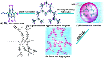 Graphical abstract: ABx-type amphiphilic macromonomer-based supramolecular hyperbranched polymers for controllable self-assembly