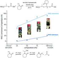 Graphical abstract: RAFT/MADIX polymerization of N-vinylcaprolactam in water–ethanol solvent mixtures