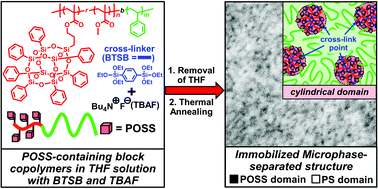 Graphical abstract: Synthesis of diblock copolymers consisting of POSS-containing random methacrylate copolymers and polystyrene and their cross-linked microphase-separated structure via fluoride ion-mediated cage scrambling
