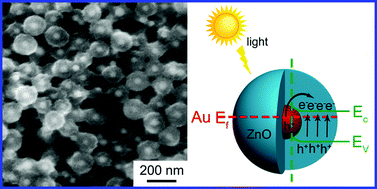 Graphical abstract: Au@ZnO core–shell nanostructures with plasmon-induced visible-light photocatalytic and photoelectrochemical properties