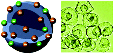 Graphical abstract: New way to multi-shelled hollow spheres for robust battery electrode