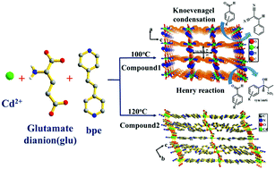 Graphical abstract: Construction of 3D homochiral metal–organic frameworks (MOFs) of Cd(ii): selective CO2 adsorption and catalytic properties for the Knoevenagel and Henry reaction