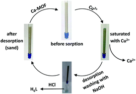 Graphical abstract: Cu2+ sorption from aqueous media by a recyclable Ca2+ framework
