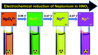 Graphical abstract: Mechanisms of neptunium redox reactions in nitric acid solutions