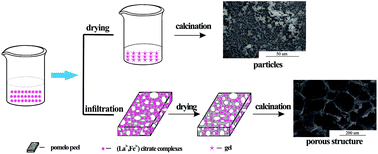 Graphical abstract: Preparation, characterization and catalytic application of hierarchically porous LaFeO3 from a pomelo peel template