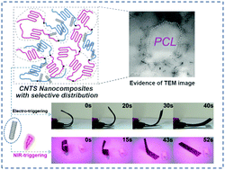 Graphical abstract: Facile fabrication of ternary nanocomposites with selective dispersion of multi-walled carbon nanotubes to access multi-stimuli-responsive shape-memory effects