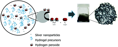 Graphical abstract: Inducing macroporosity in hydrogels using hydrogen peroxide as a blowing agent
