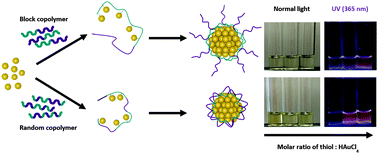Graphical abstract: Exploring the potential of linear polymer structures for the synthesis of fluorescent gold nanoclusters