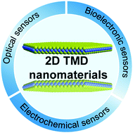 Graphical abstract: Two-dimensional transition metal dichalcogenide nanomaterials for biosensing applications