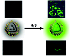Graphical abstract: A highly selective fluorescent nanoprobe based on AIE and ESIPT for imaging hydrogen sulfide in live cells and zebrafish