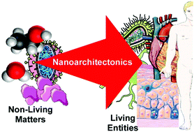Graphical abstract: Nanoarchitectonics: a navigator from materials to life