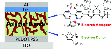 Graphical abstract: A double B←N bridged bipyridine (BNBP)-based polymer electron acceptor: all-polymer solar cells with a high donor : acceptor blend ratio